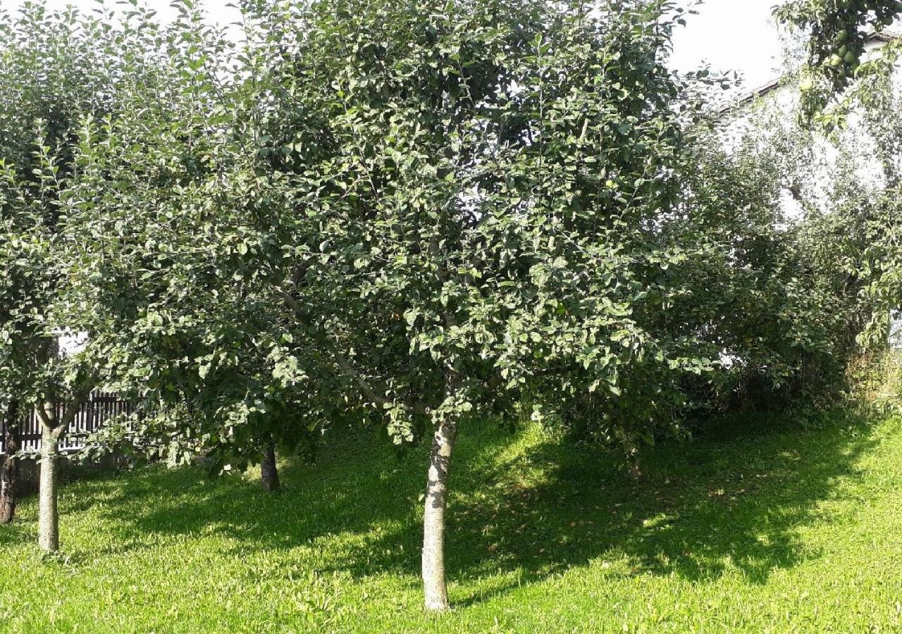 Apartmán Landhof Sedlmair Gilching Exteriér fotografie
